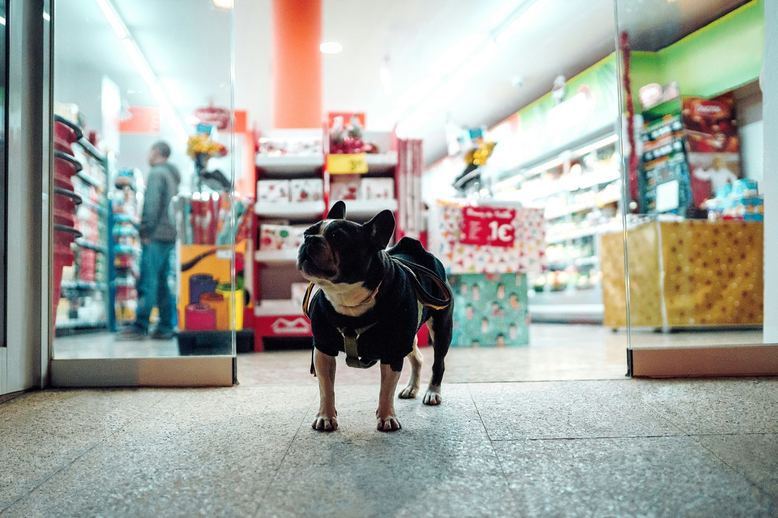 Concept store & coffee shop Woofpark