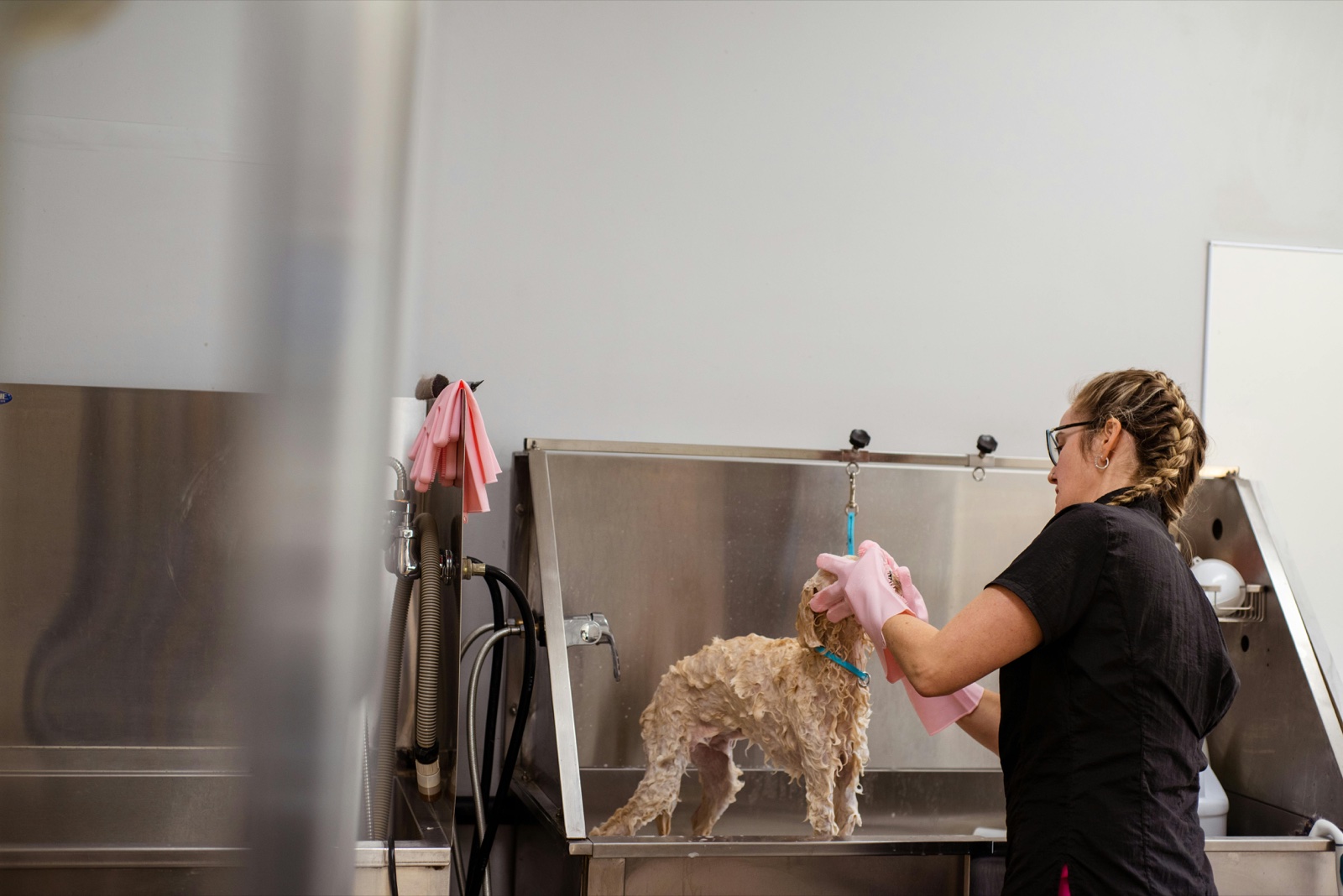 WoofClean — dogwash Woofpark